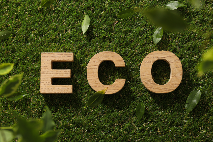 Curso de Extensão em Ecologia, Manejo E Conservacao: Aprofundamento Teórico e Prático
