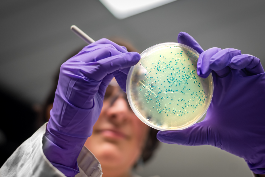Curso de Extensão em Microbiologia E Imunologia: Aprofundamento Teórico e Prático