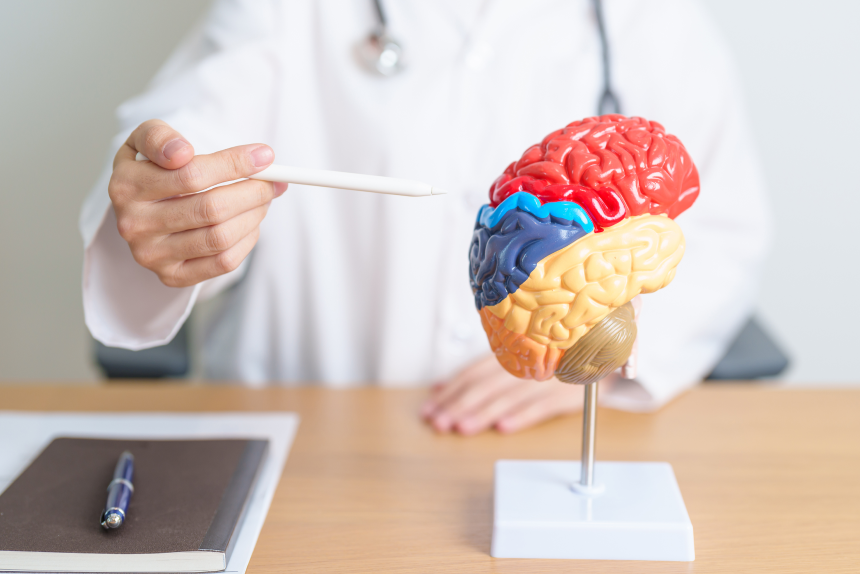 Neurociência e Aprendizagem